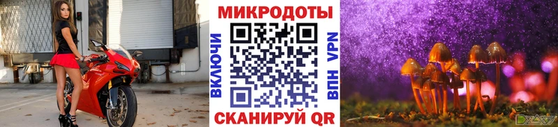 продажа наркотиков Кисловодск Галлюциногенные грибы мухоморы